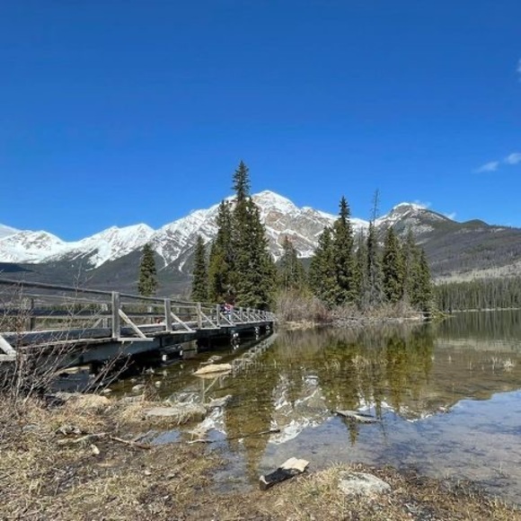 Meet your Posher, Percy - Picture 1 of 1